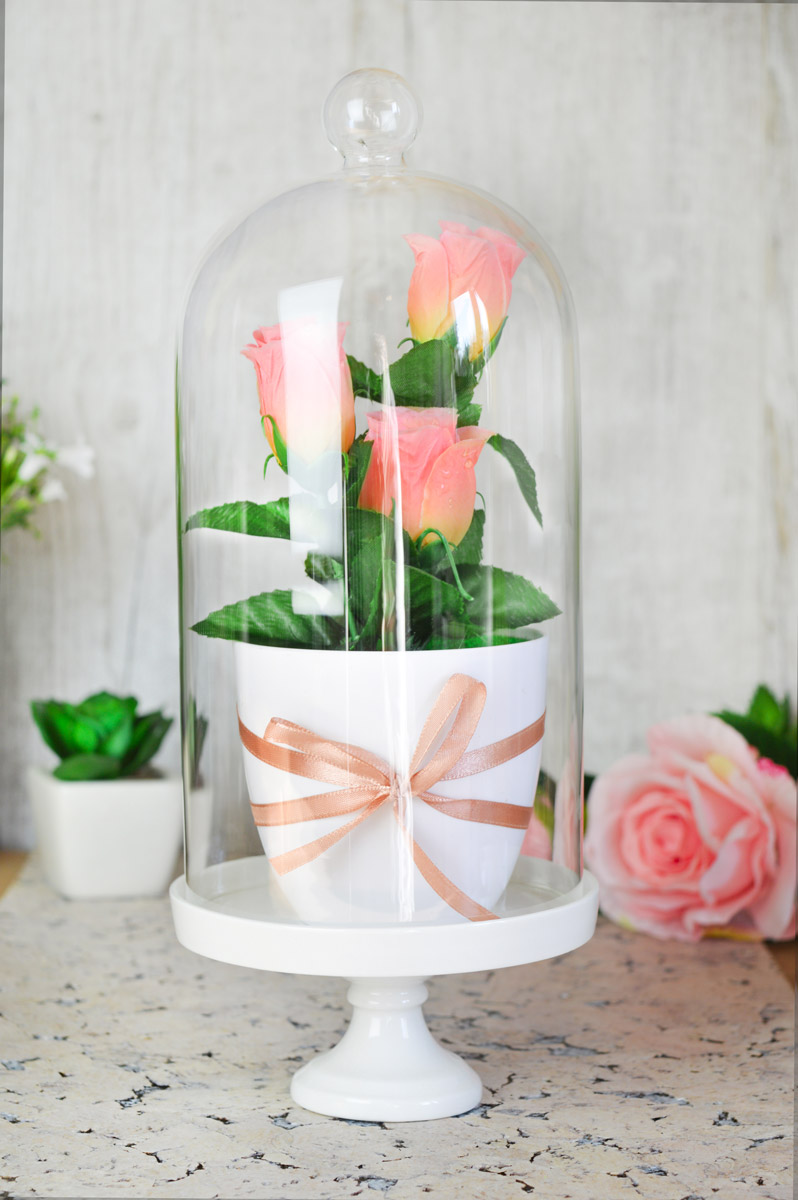 Glasglocke Porzellanteller Dekoglocke Glassturz Glashaube Deko Tischdeko 30cm