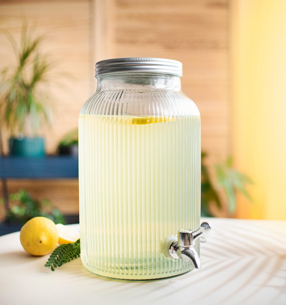 Getränkespender 5 Liter Zapfhahn Wasserspender Saftspender Dispenser