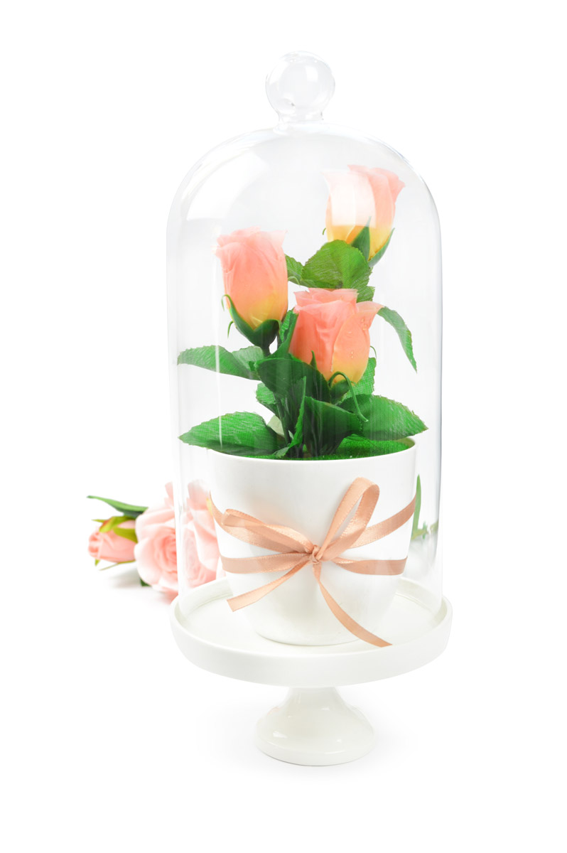 Glasglocke Porzellanteller Dekoglocke Glassturz Glashaube Deko Tischdeko 30cm