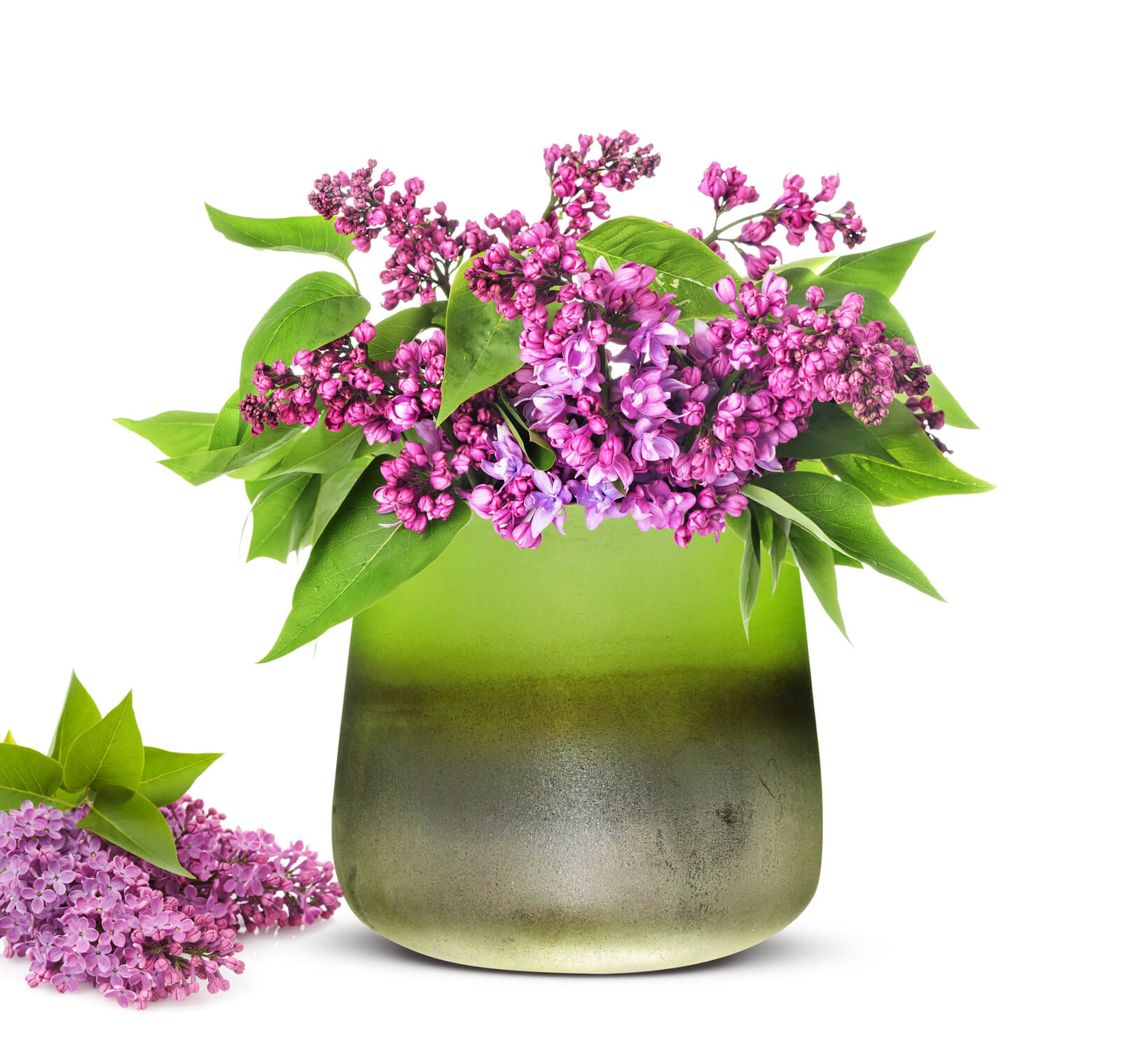 Vaso per fiori Barbara, vaso da tavolo, vaso in vetro, vaso per fiori, vaso per piante, vaso decorativo 
