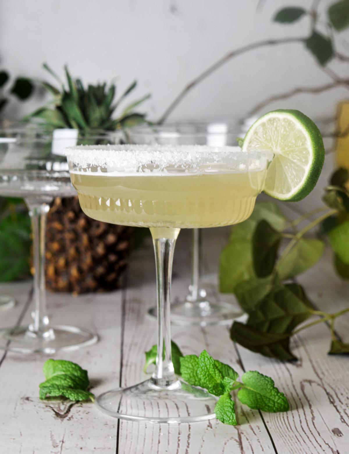 6 Margarita Gläser Marguerita Margarita Cocktailgläser Margaritagläser Relief