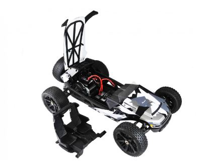 amewi hammerhead brushless