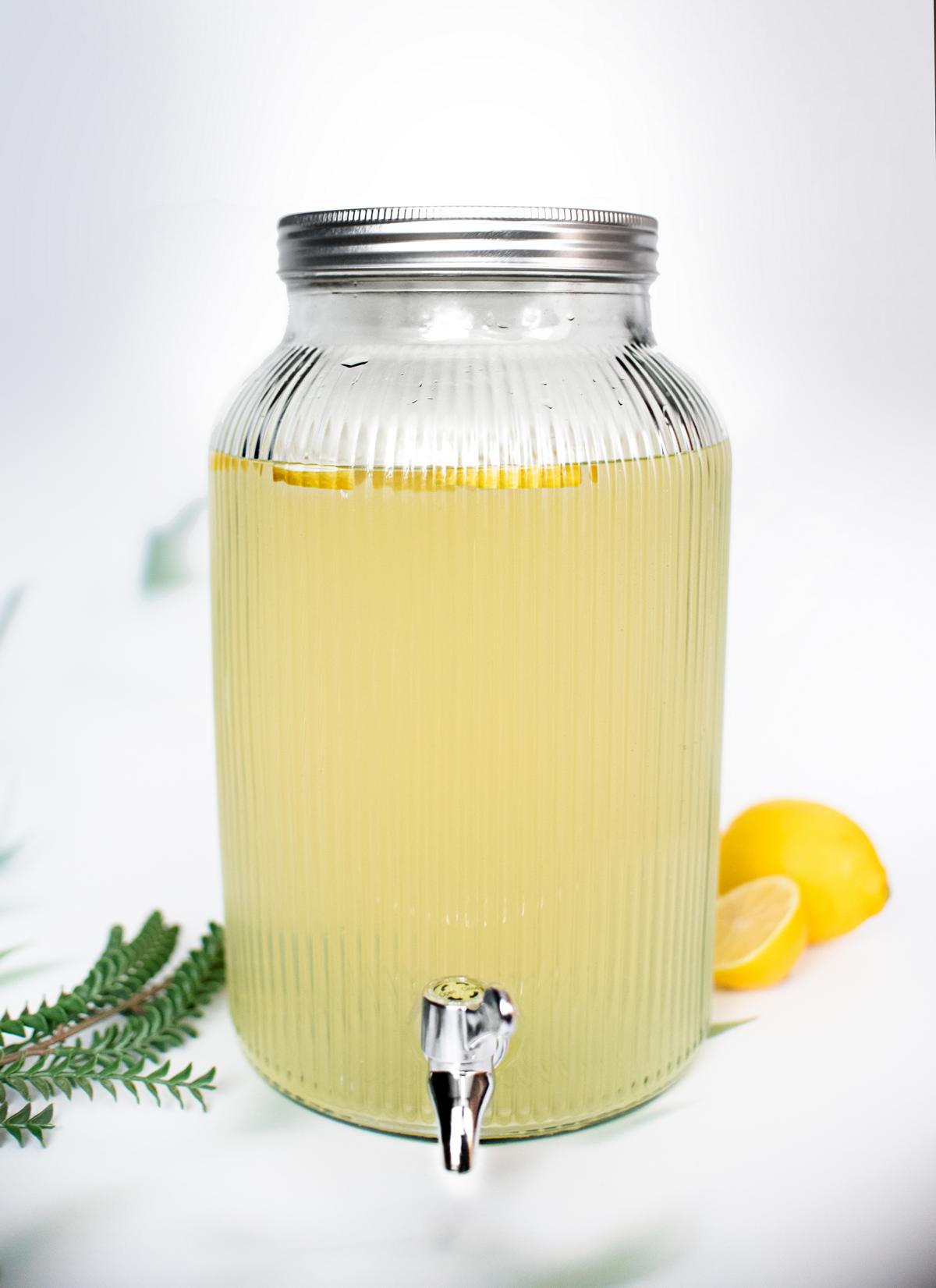 Getränkespender 5 Liter Zapfhahn Wasserspender Saftspender Dispenser